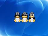 Traja tučniaci